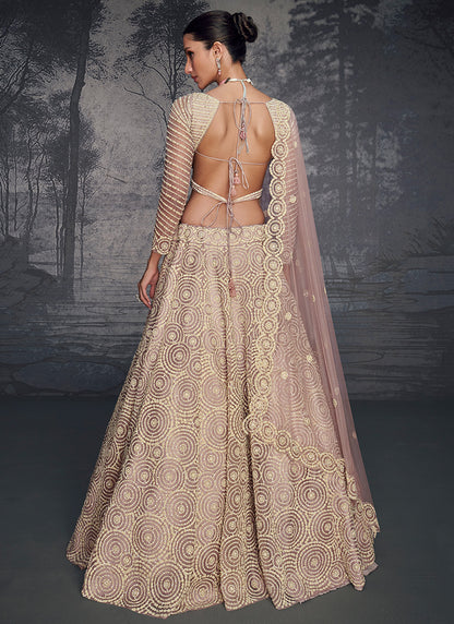 Amraya Readymade Lehenga Choli