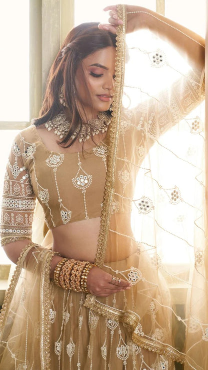 Ilisha Designer Lehenga Choli Set