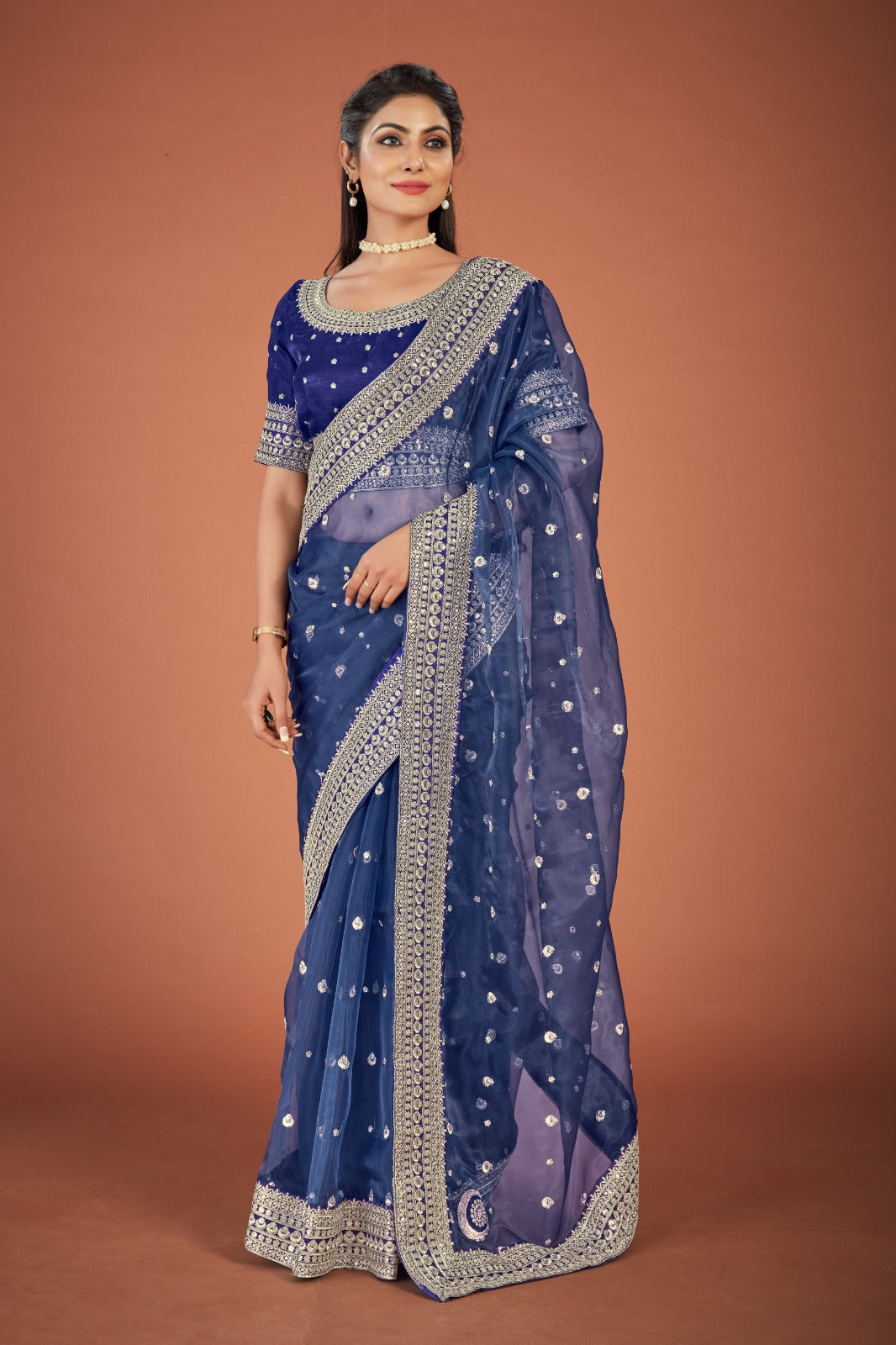 Ishani Embroidered Saree - Blue