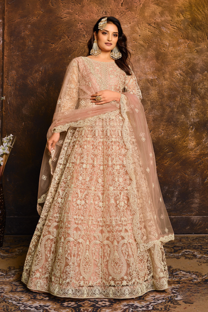 Reetva Anarkali Suit