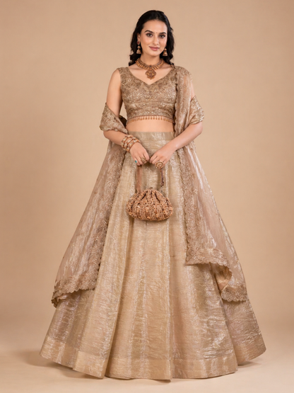 Aadhira Lehenga Choli