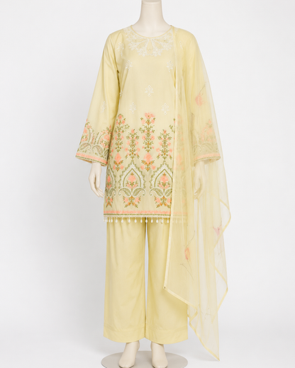 Ameera Farshi Suit