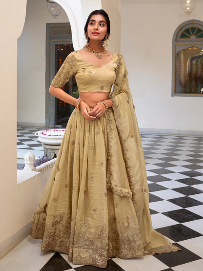 Iraaya Lehenga Choli