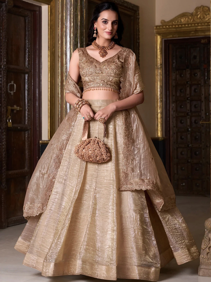 Aadhira Lehenga Choli