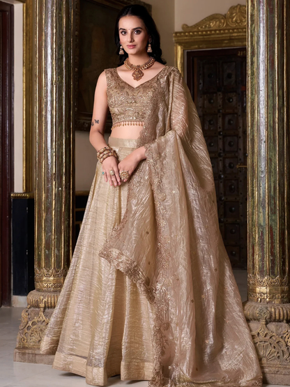 Aadhira Lehenga Choli