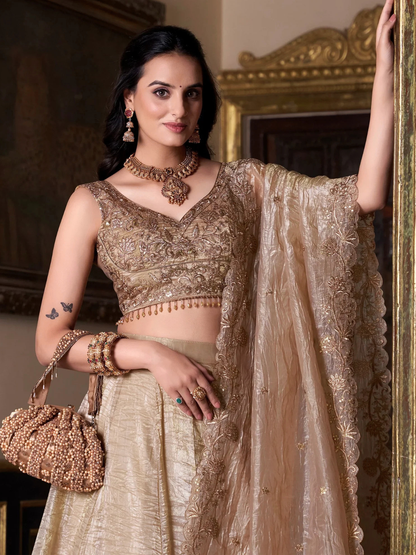 Aadhira Lehenga Choli