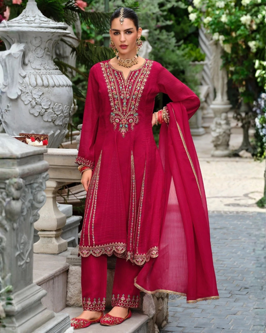 Vaani Anarkali Suit