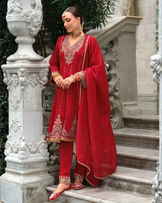 Tarini Anarkali Suit